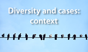 Diversity and cases: context